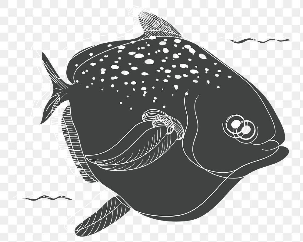 Fish png illustration, transparent background