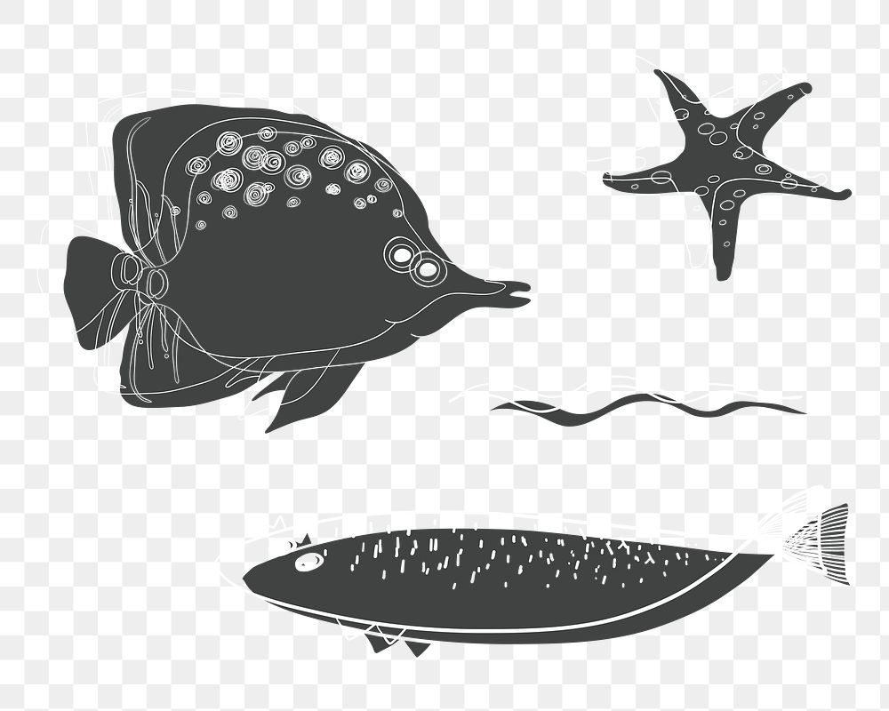 Fish png illustration, transparent background