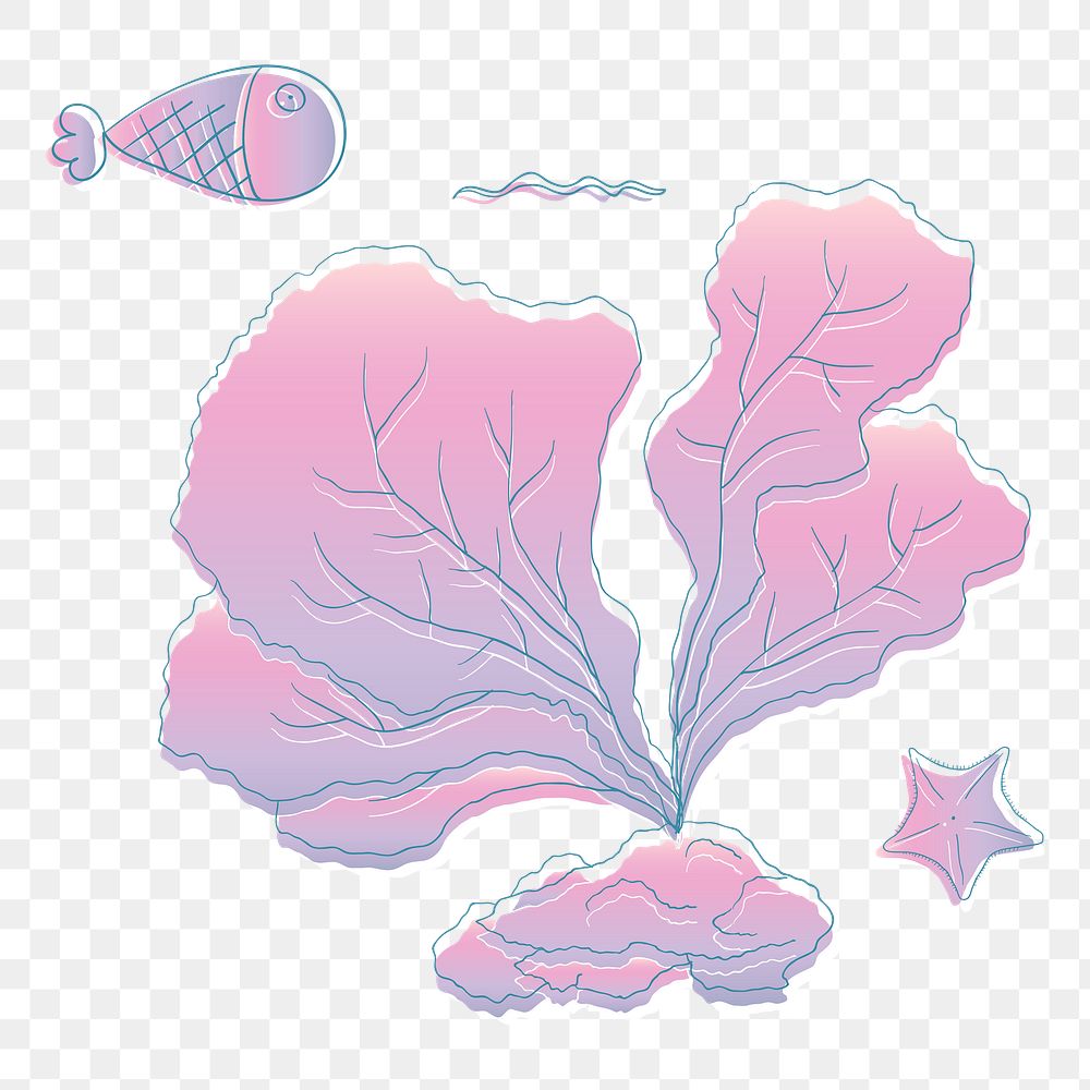 Coral reef png illustration, transparent background