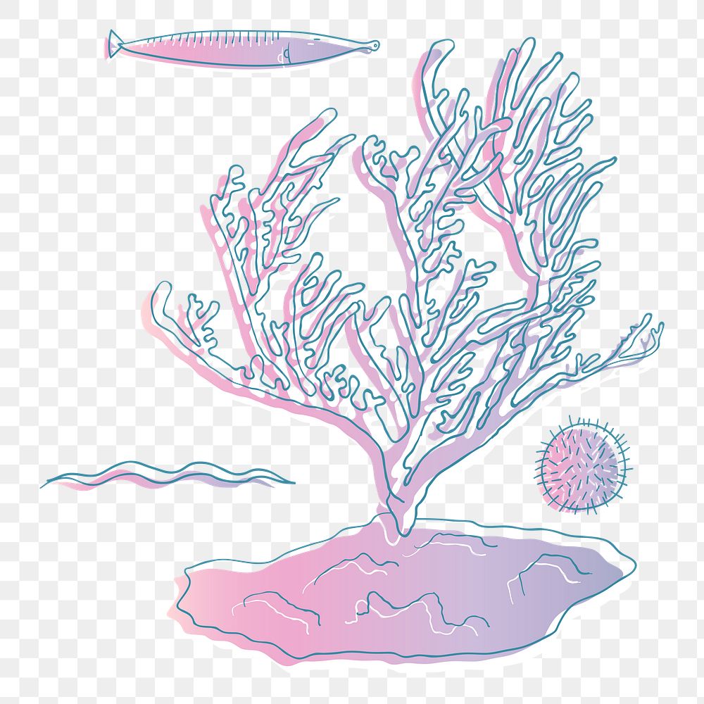 Coral reef png illustration, transparent background