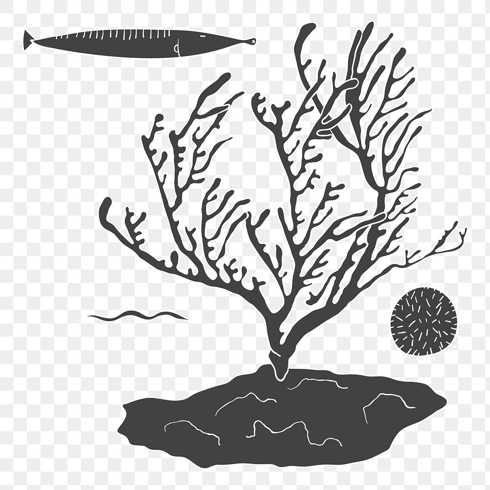 Coral reef png illustration, transparent background