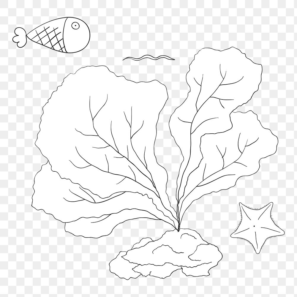 Coral reef png illustration, transparent background