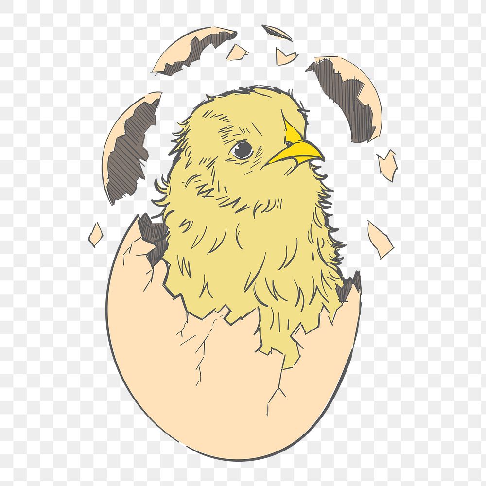 Png  Chick illustration element, transparent background