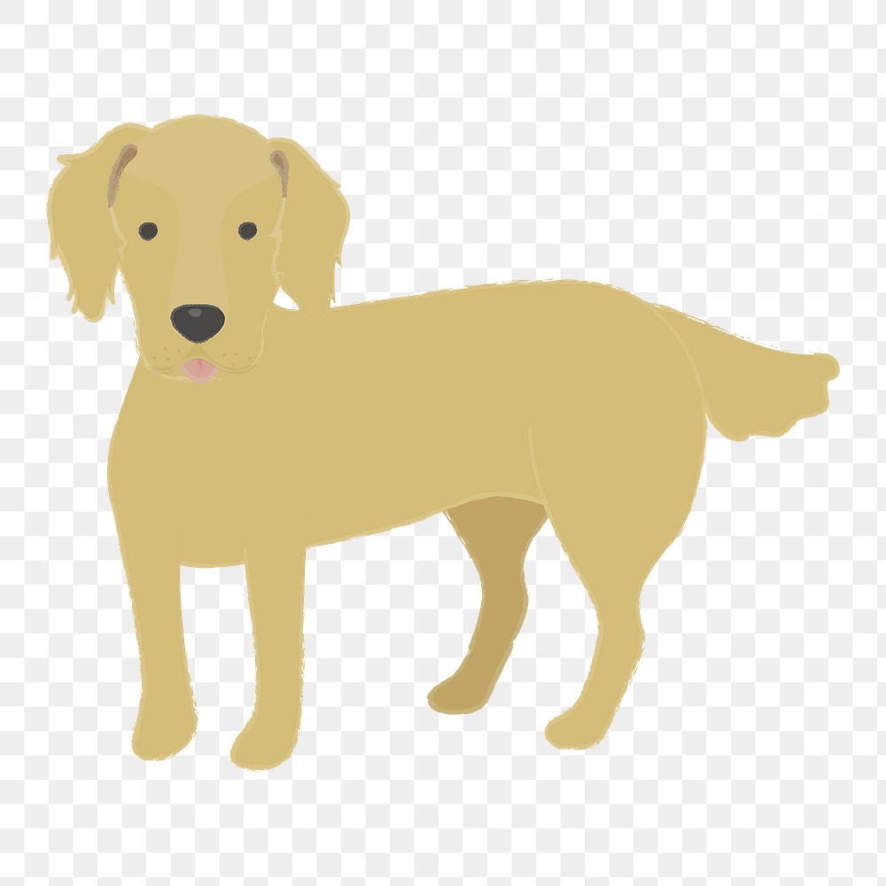 Png Golden retriever dog  sticker, transparent background