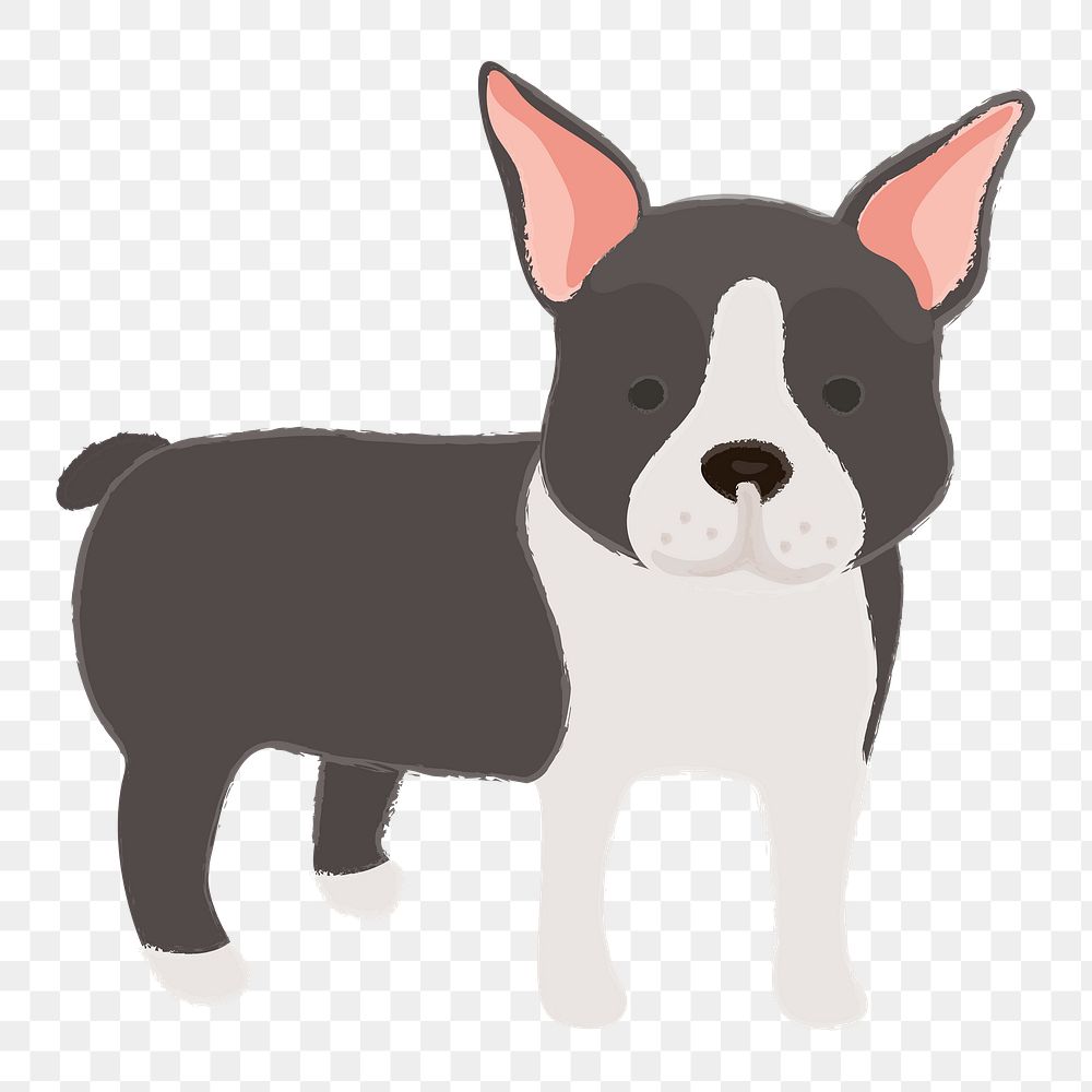 Png Boston Terrier dog  sticker, transparent background