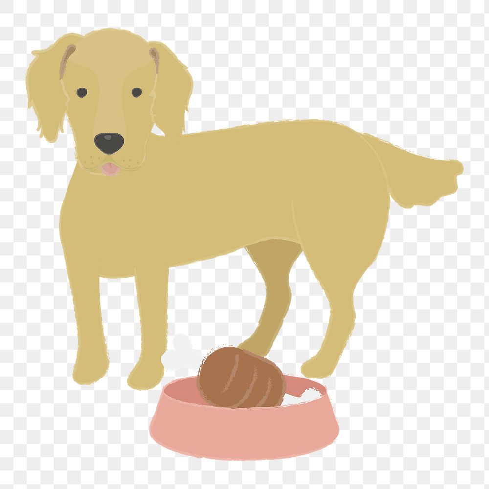 Png Golden Retriever dog  sticker, transparent background