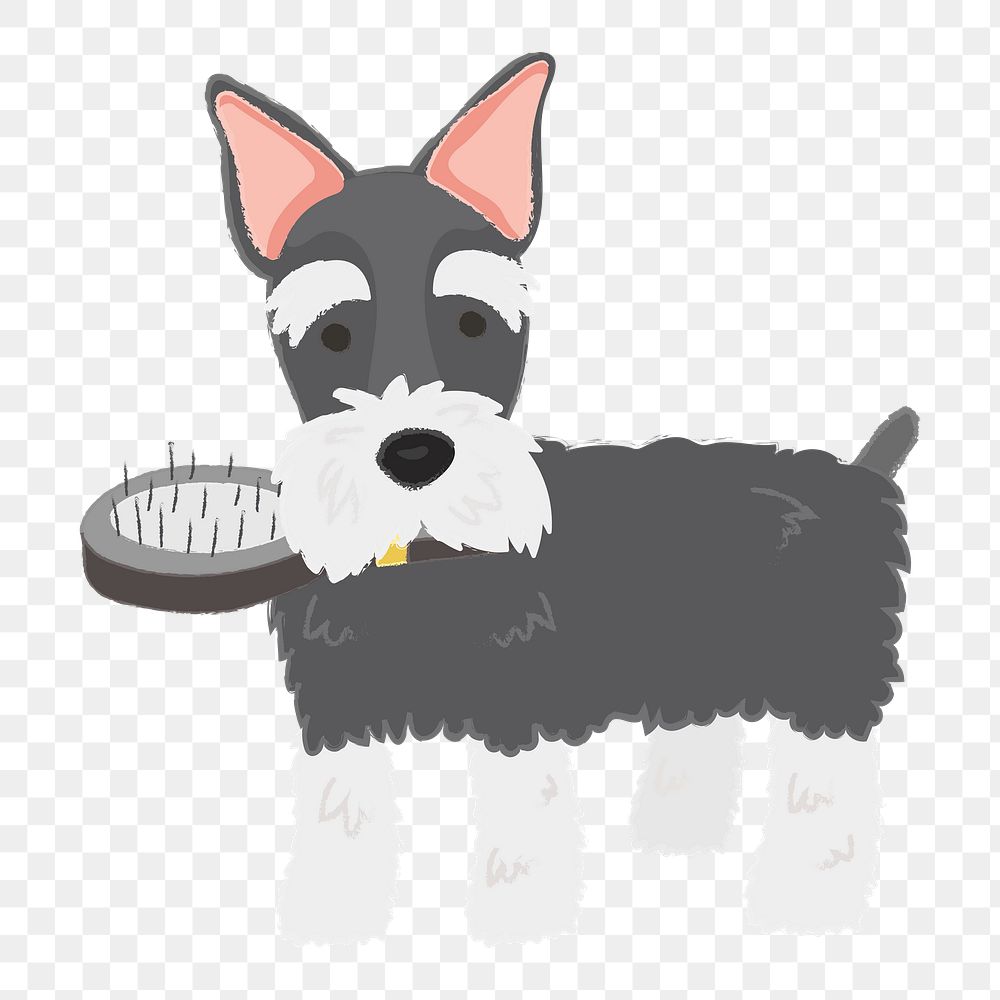 Png cute Schnauzer dog  sticker, transparent background
