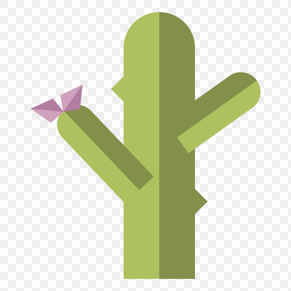 Cactus  png, transparent background