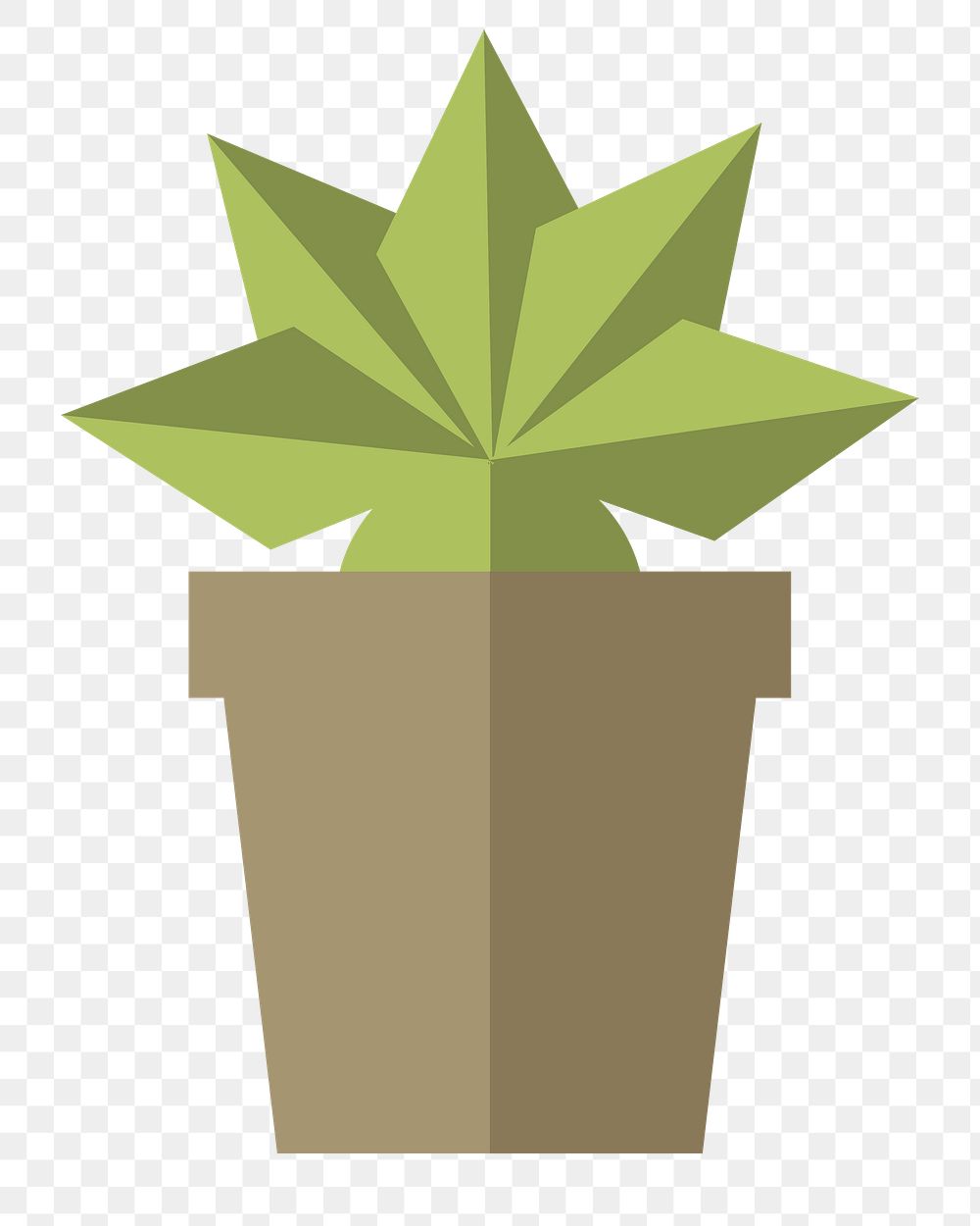 Spiky plant in a pot  png, transparent background