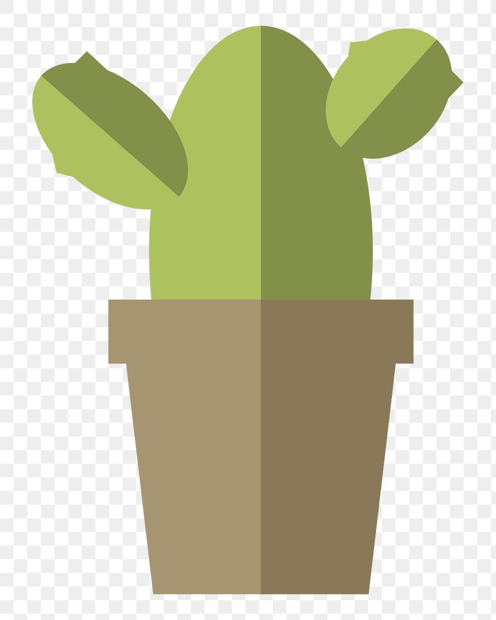 Cactus plant in a pot  png, transparent background