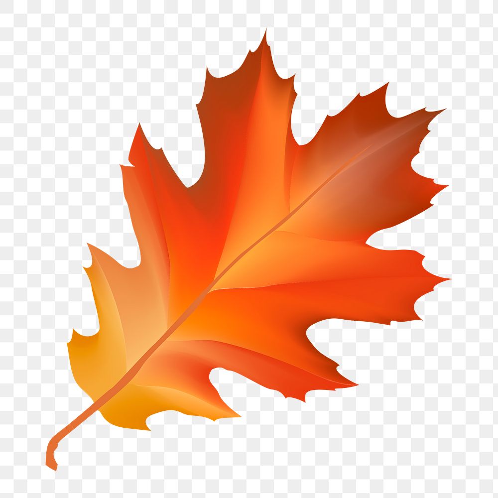 Autumn leaf png, transparent background