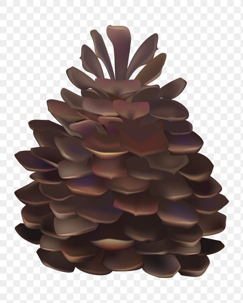 Pine cone png, transparent background