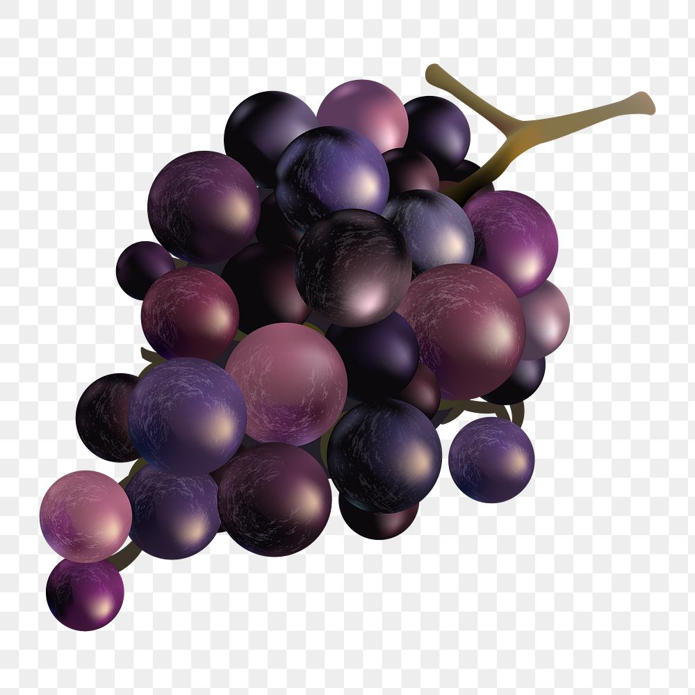 Grapes png, transparent background