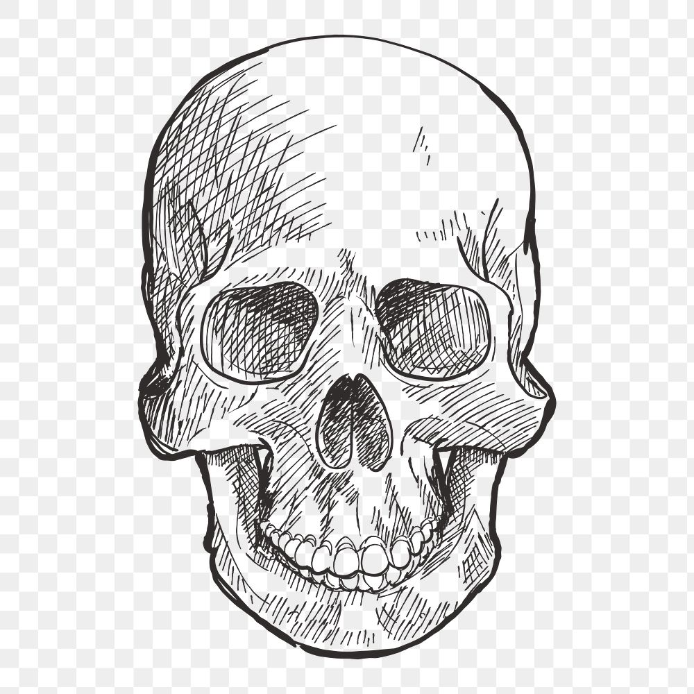 Png Halloween skull illustration element, transparent background