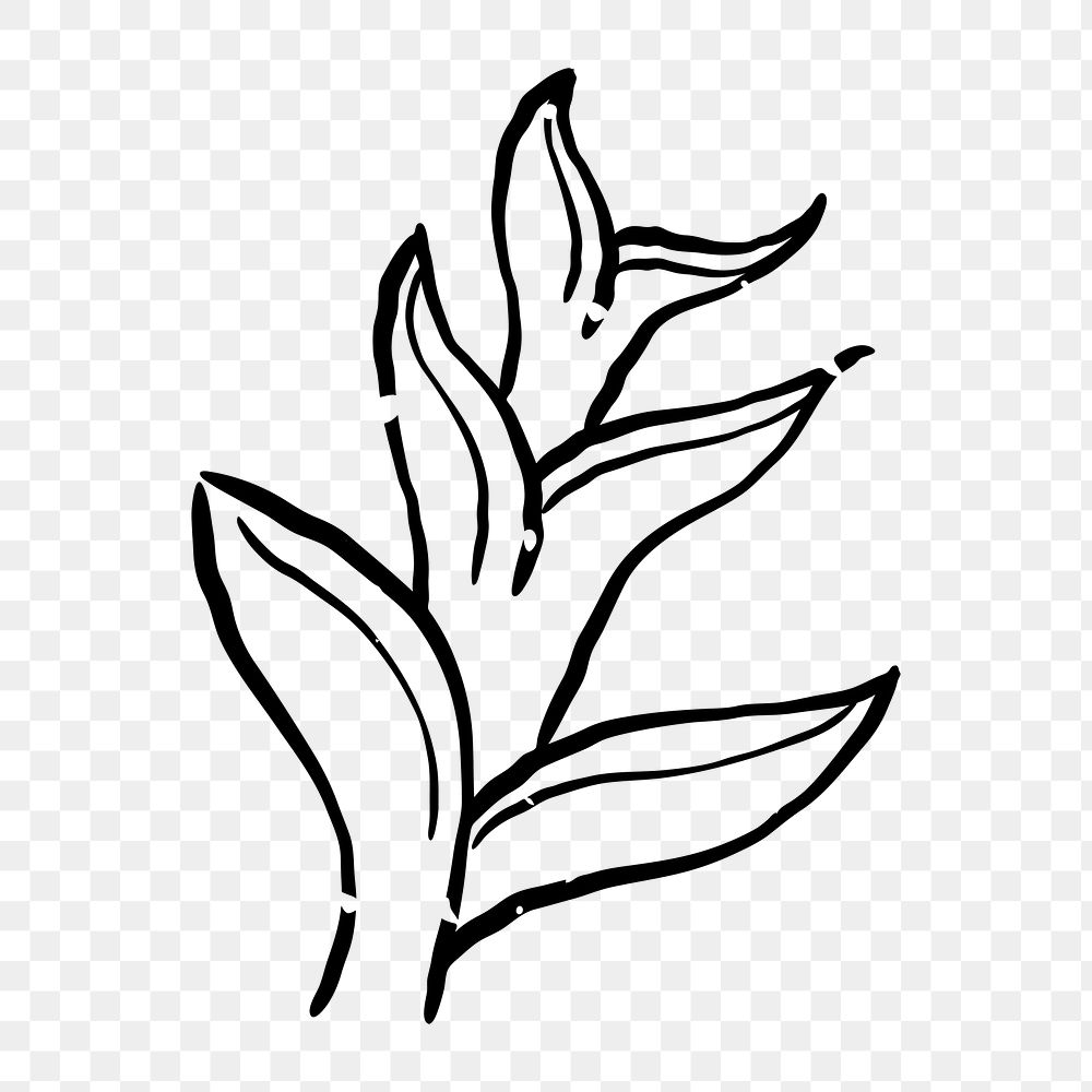 Png simple plant  doodle illustration, transparent background