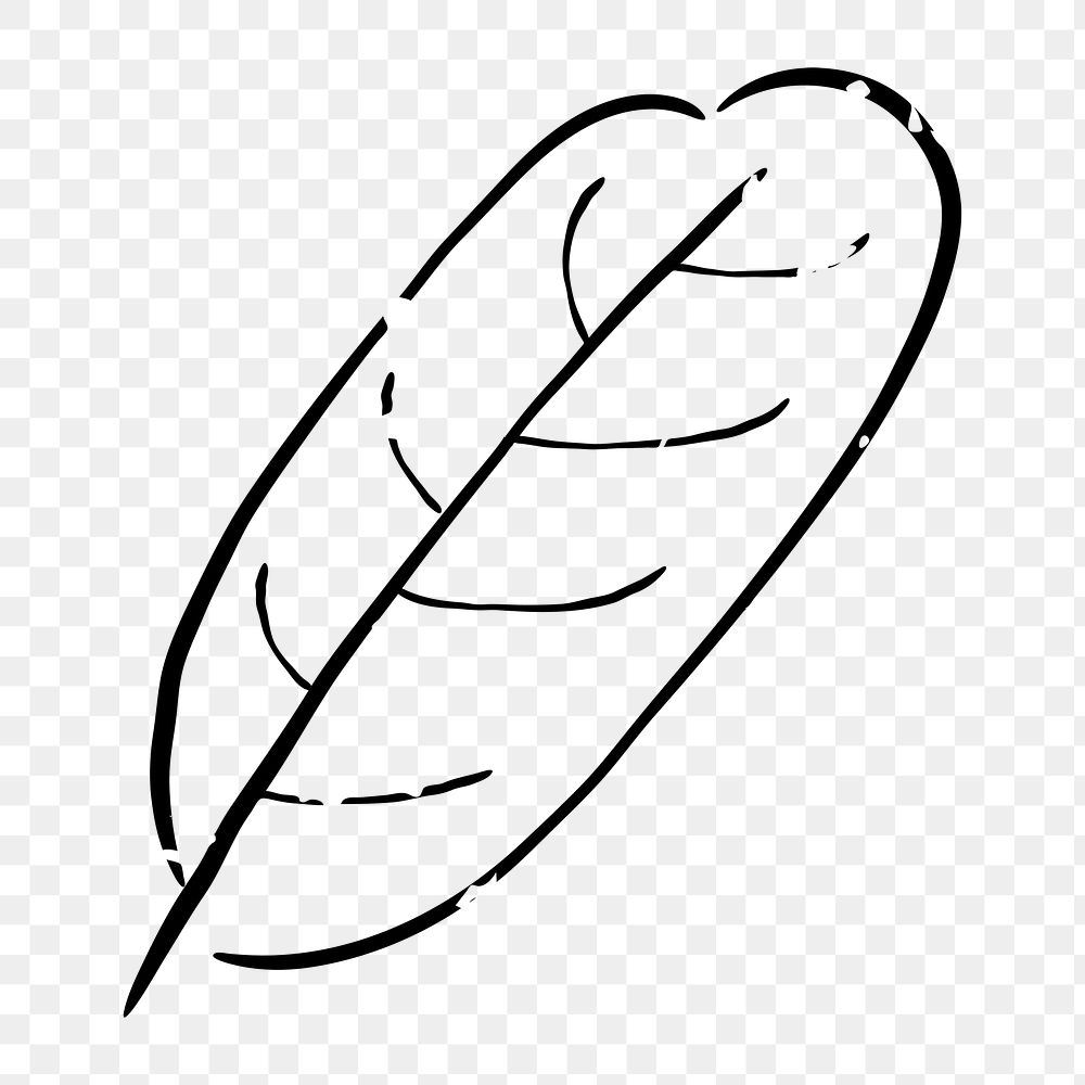 Png simple leaf doodle illustration, transparent background