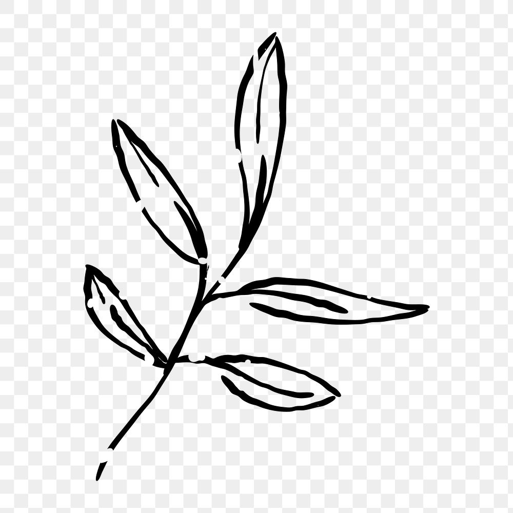 Png leaf branch  doodle illustration, transparent background