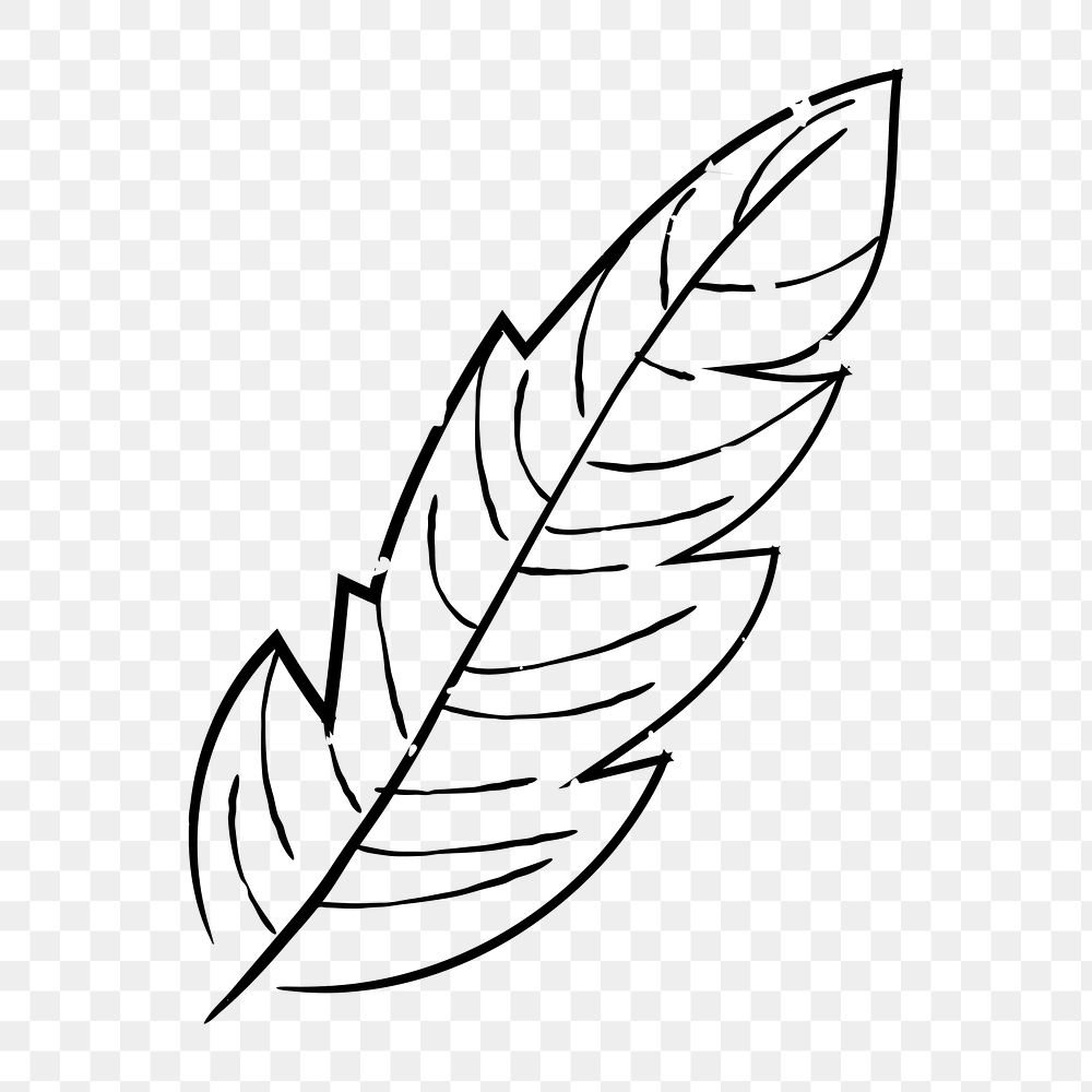 Png simple leaf doodle illustration, transparent background