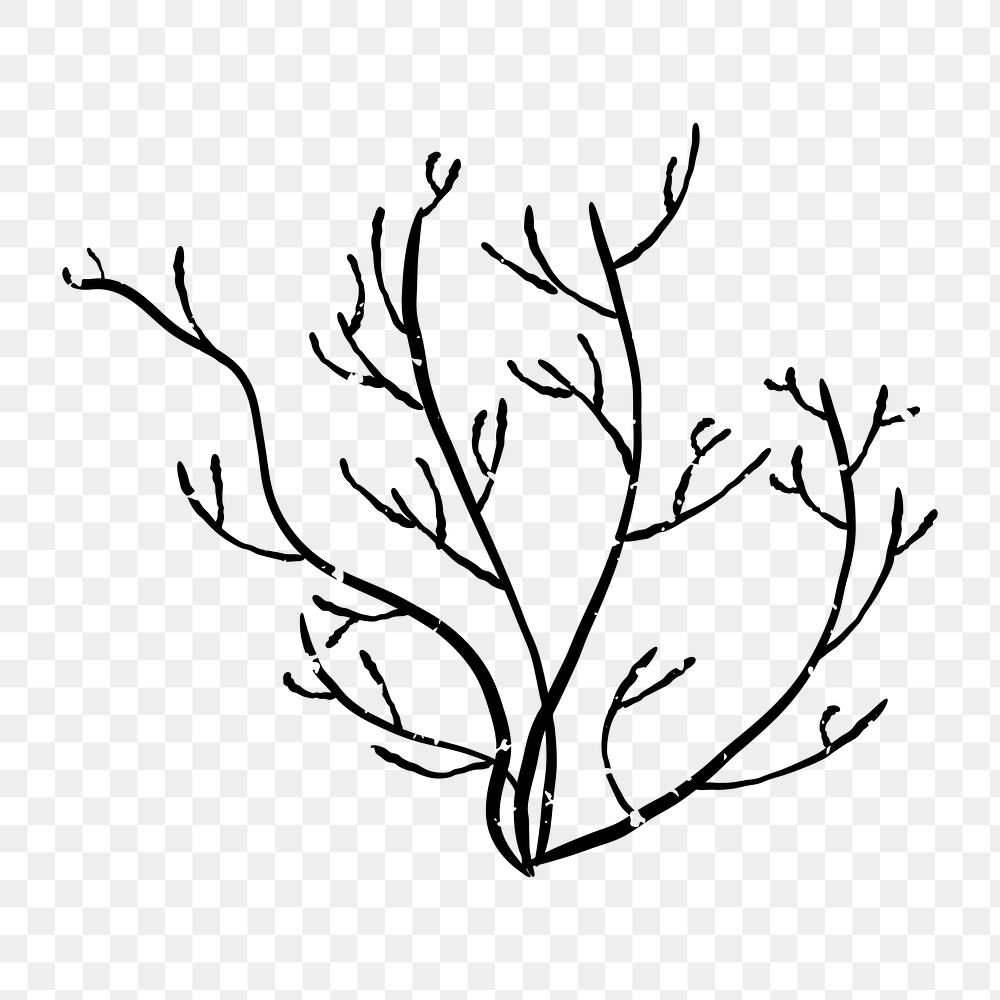 Png abstract branch  doodle illustration, transparent background