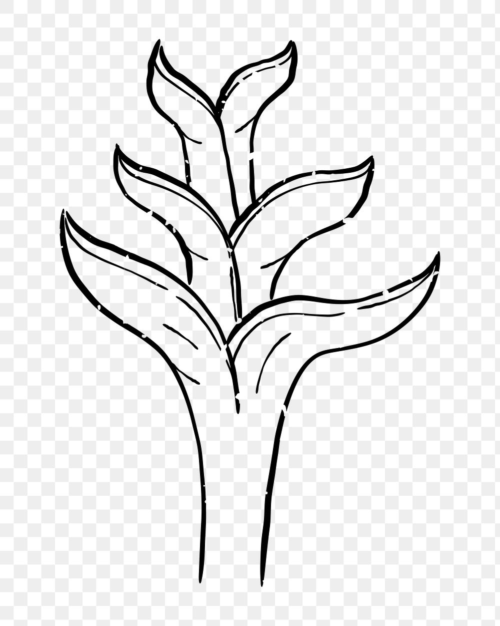 Png simple plant  doodle illustration, transparent background