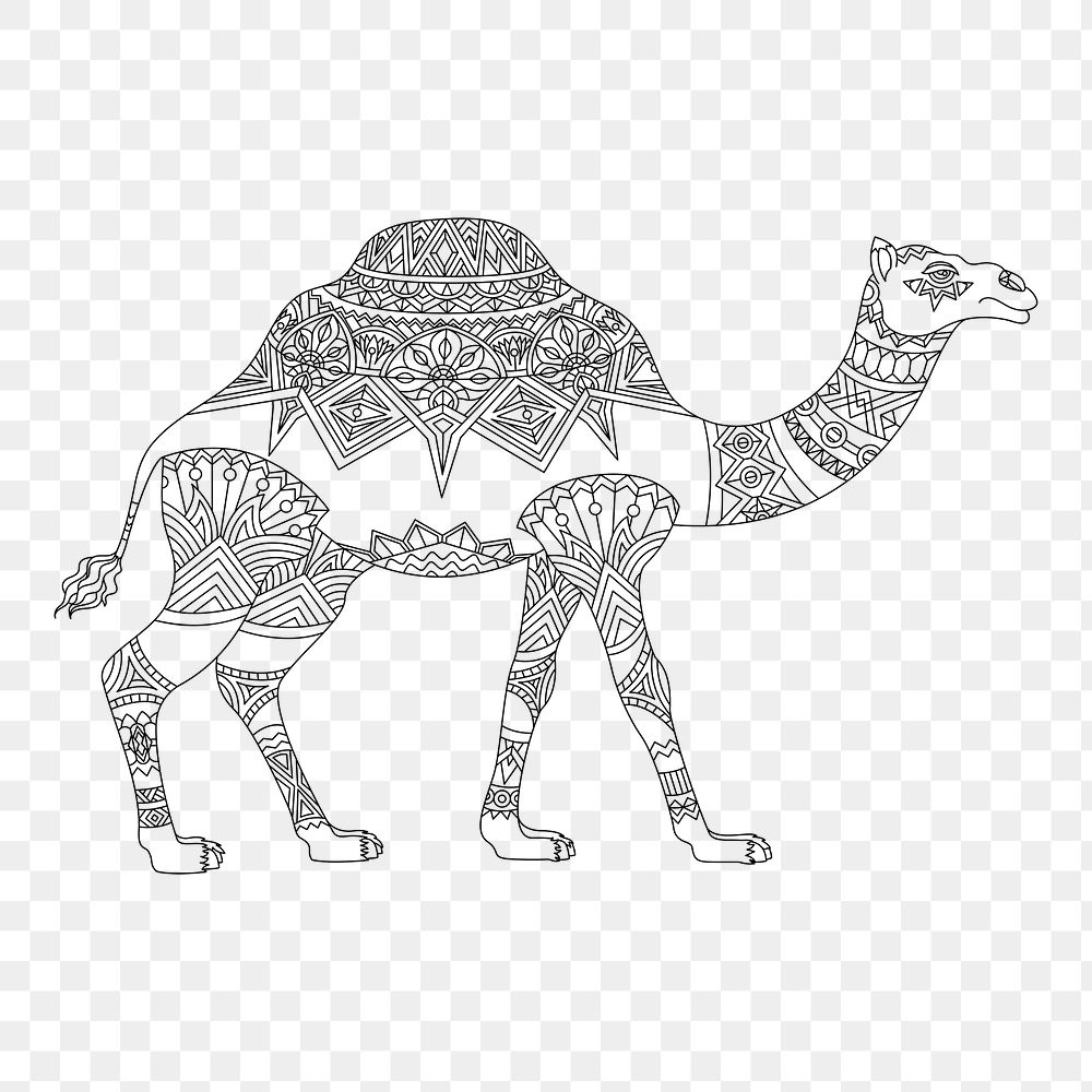 Png camel element, transparent background