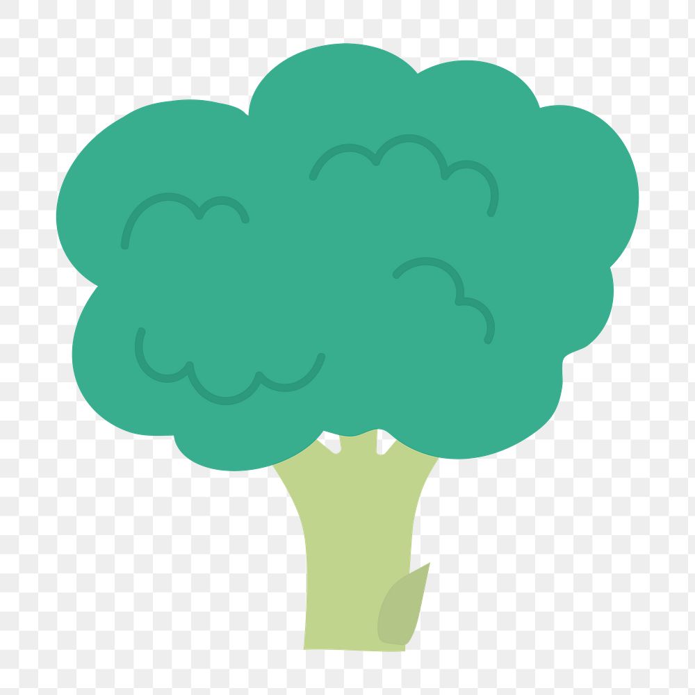 Fresh broccoli icon png,  transparent background 