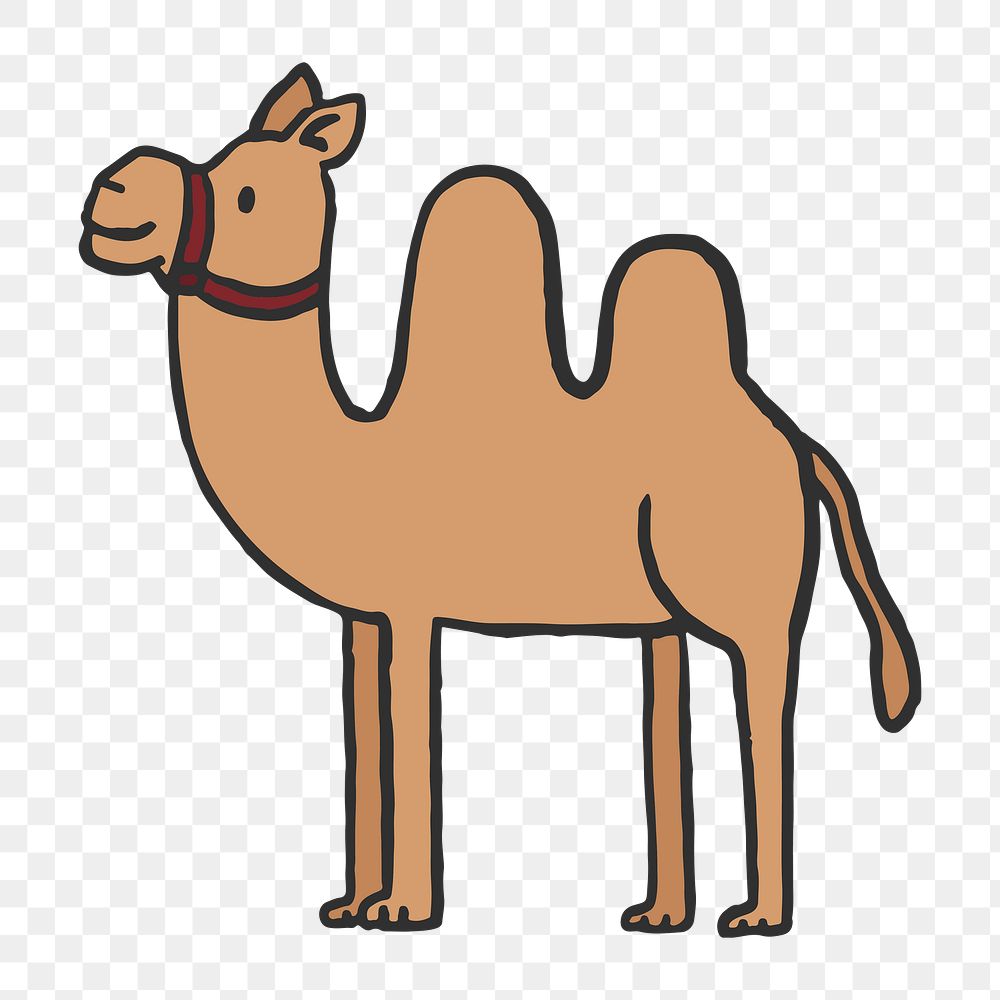 Png cute camel  doodle   sticker, transparent background