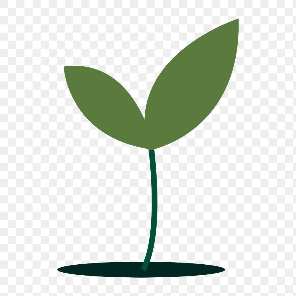 Png green growing plant illustration, transparent background