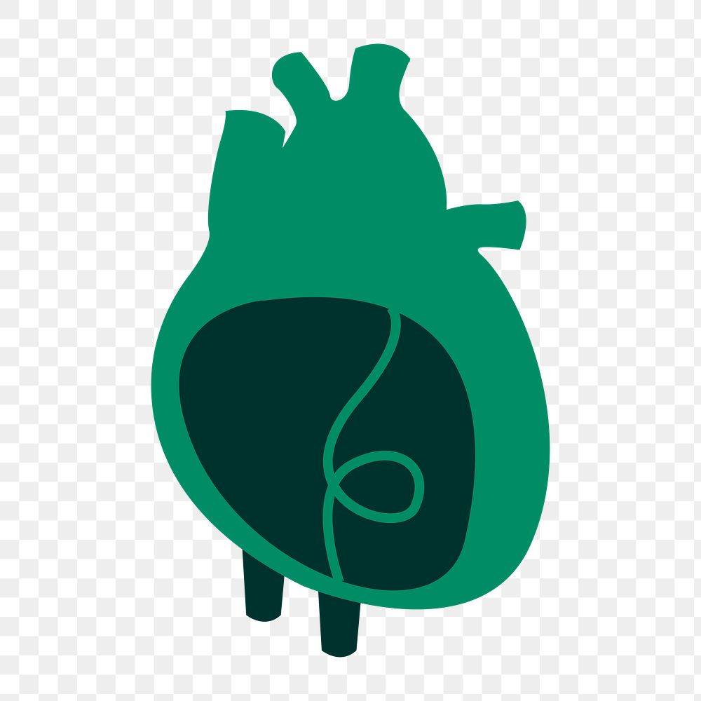 Png green heart organ illustration, transparent background