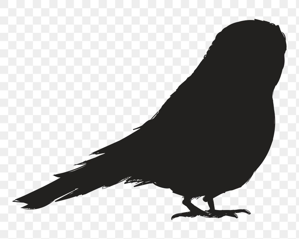 Png black bird silhouette, transparent background