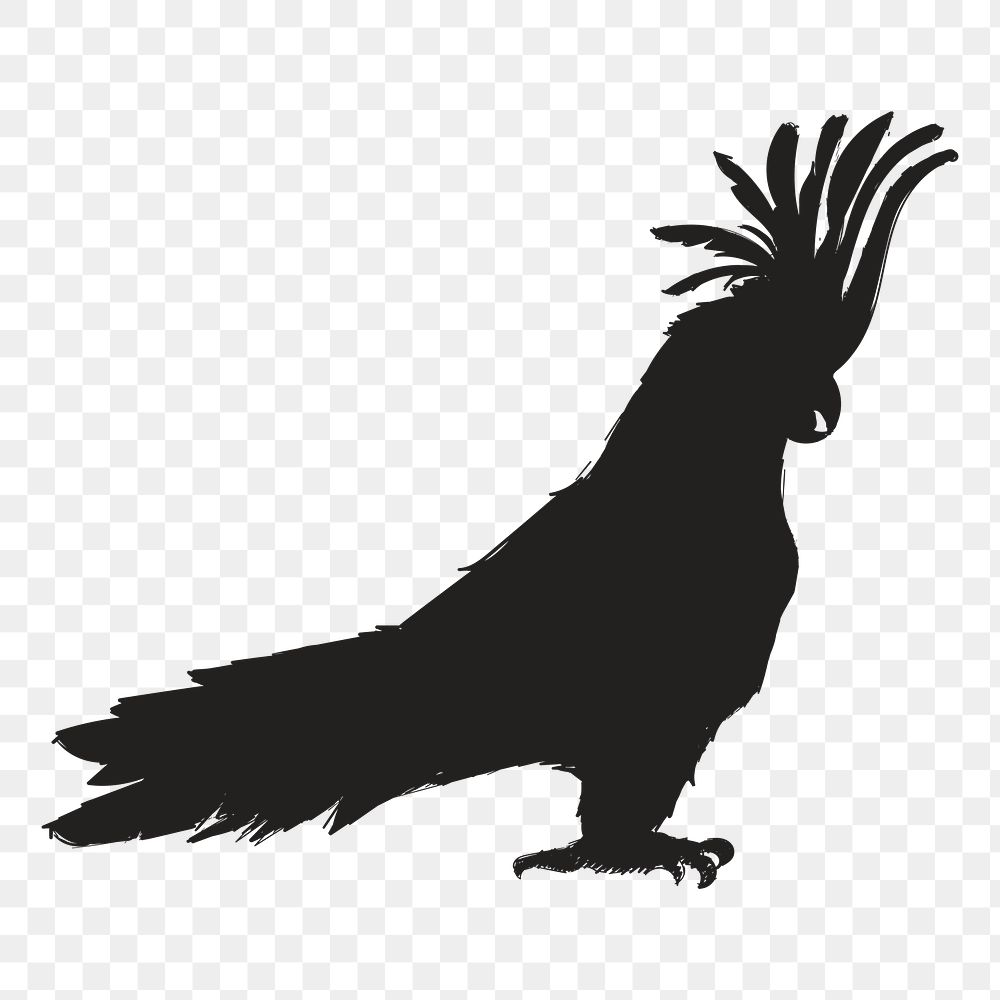 Png cockatoo silhouette, transparent background