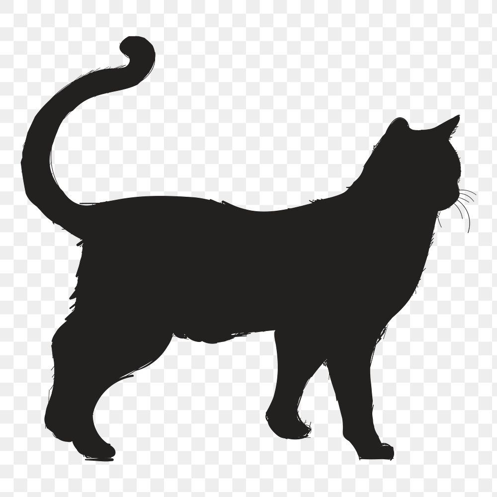 Png black cat silhouette, transparent background