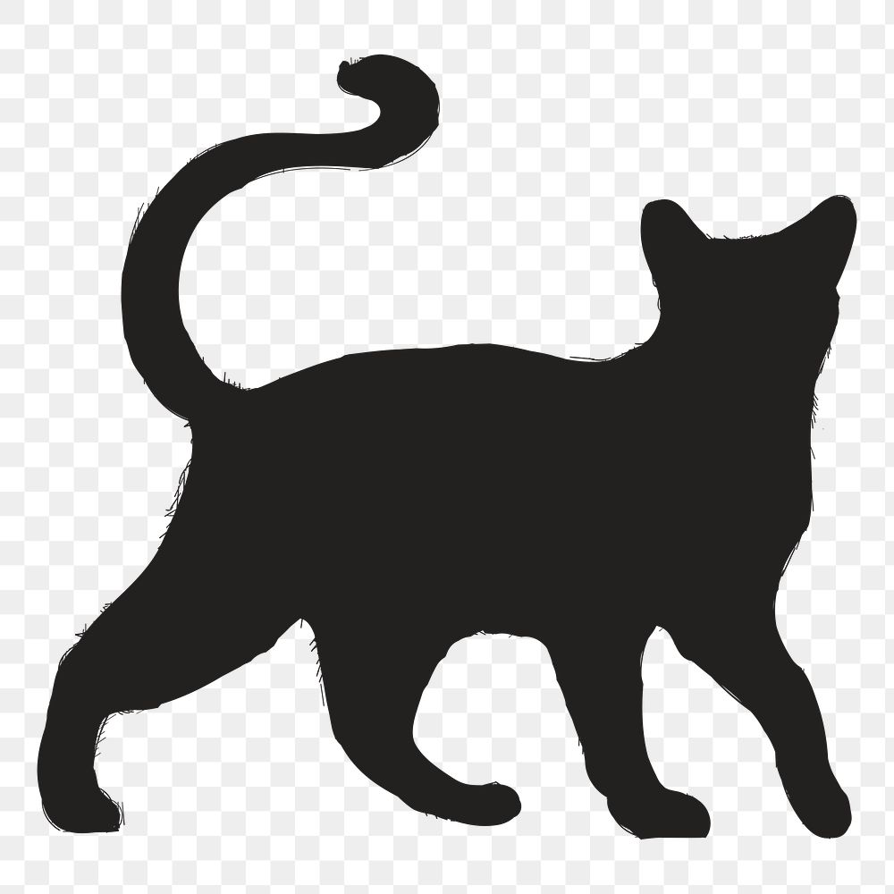 Png cat silhouette, transparent background