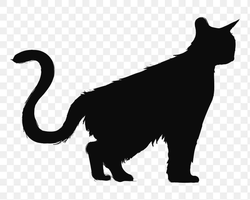 Png black cat silhouette, transparent background