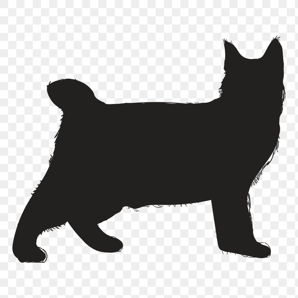 Png black cat silhouette, transparent background