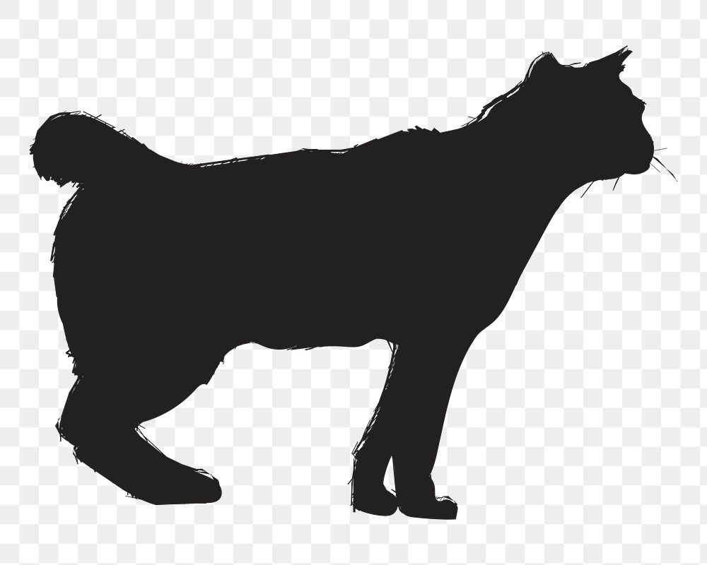 Png bobtail cat silhouette, transparent background