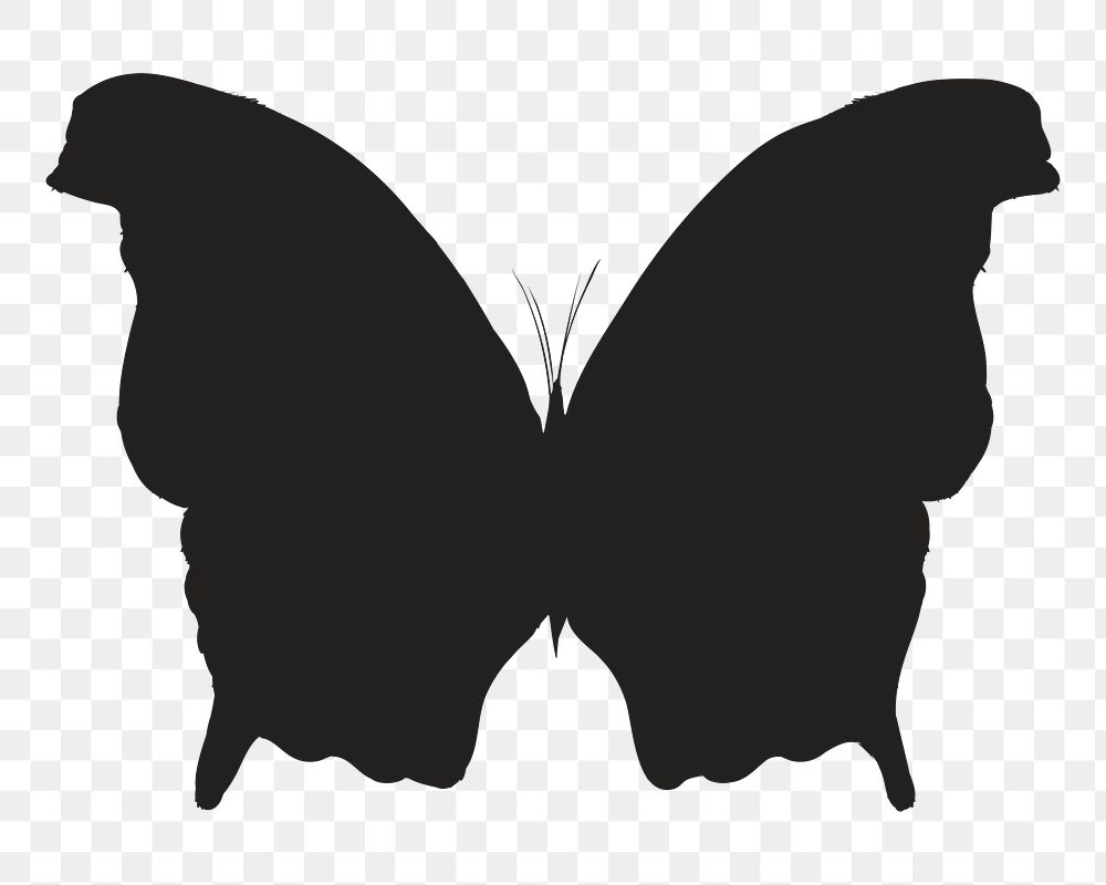 Png black butterfly silhouette, transparent background