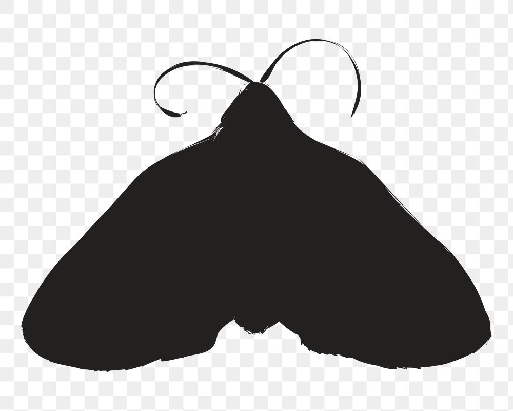 Png black butterfly silhouette, transparent background