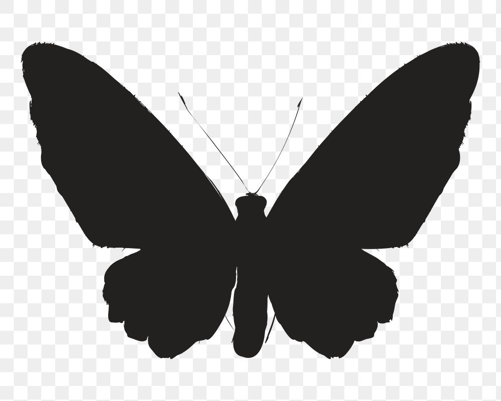 Png black butterfly silhouette, transparent background