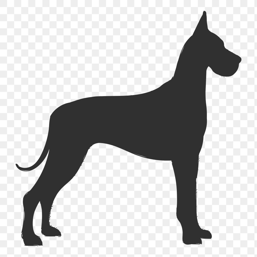 Png great dane dog silhouette, transparent background