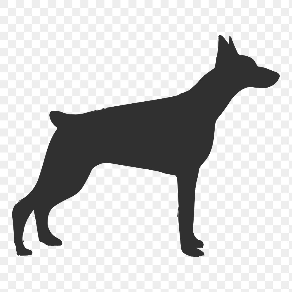 Png doberman pinscher dog silhouette, transparent background