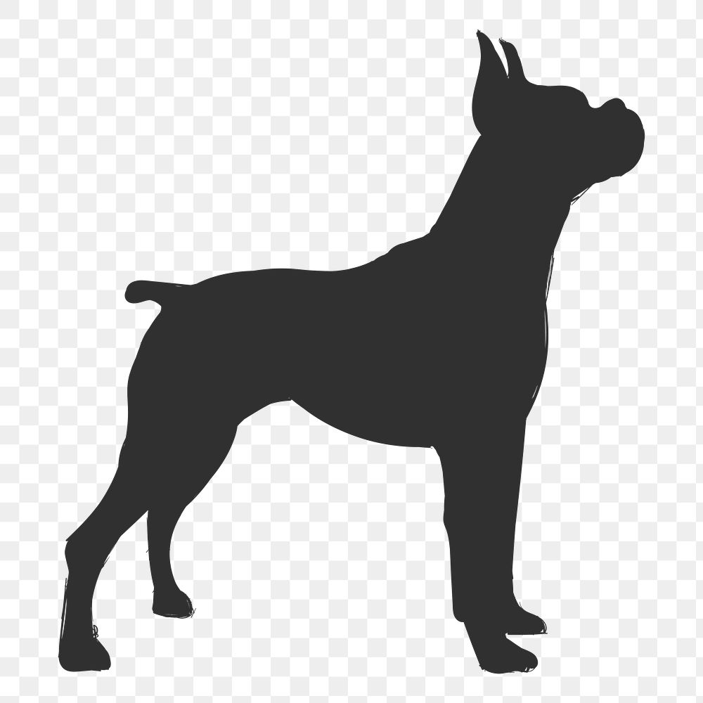 Png boxer dog silhouette, transparent background