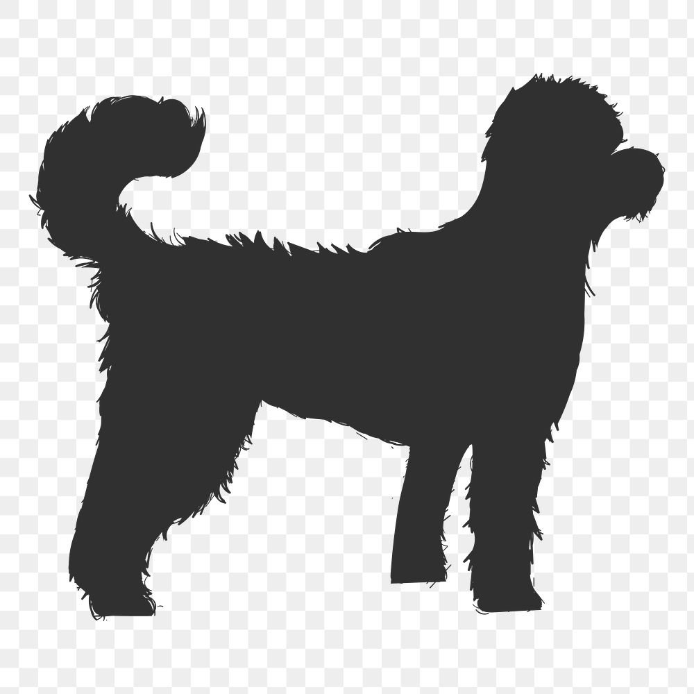 Png standard poodle dog silhouette, transparent background