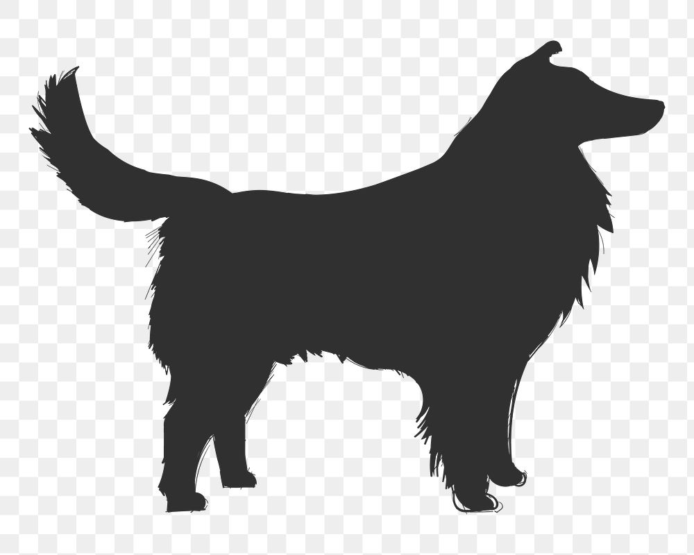 Png shetland sheepdog silhouette, transparent background