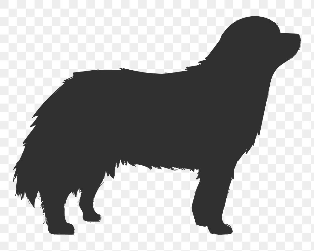 Png australian cattle dog silhouette, transparent background