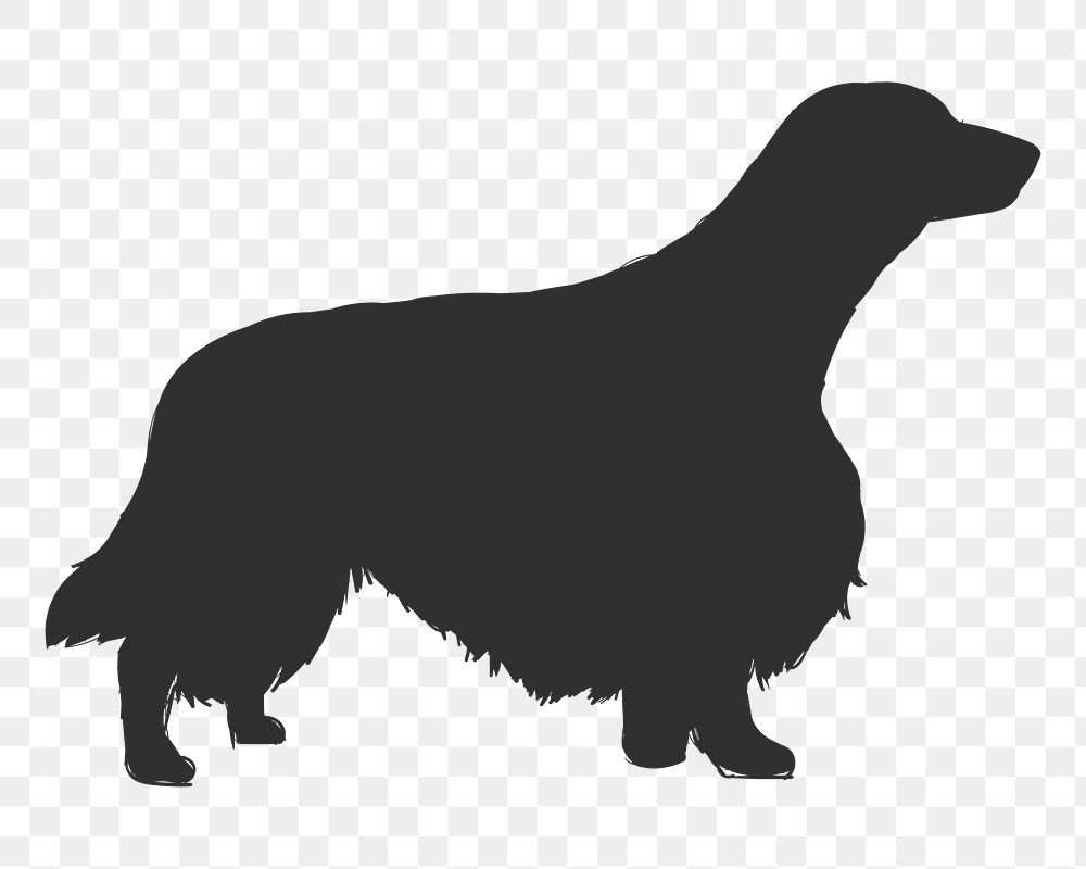 Png springer spaniel dog silhouette, transparent background