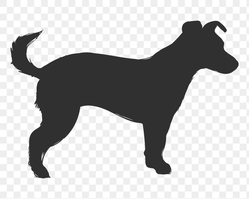 Png jack russell terrier dog silhouette, transparent background