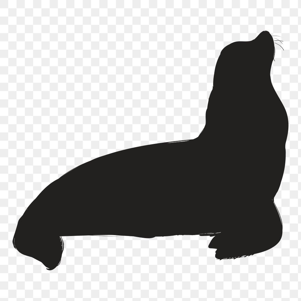 Png cute sea lion silhouette, transparent background
