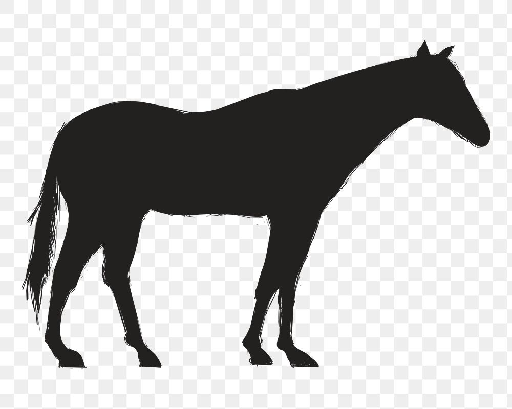 Png horse silhouette, transparent background