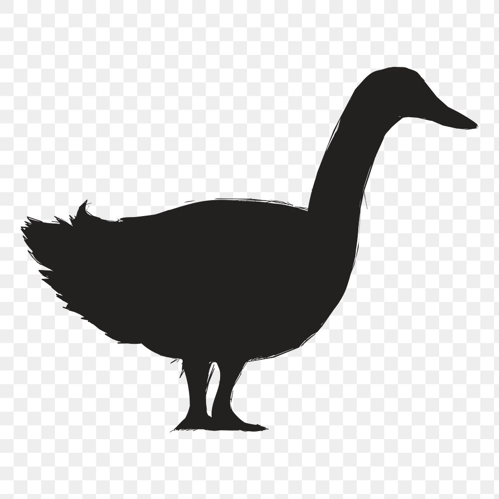 Png duck silhouette, transparent background